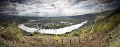 Vineyards and Moezel River - Piesport - Germany -
