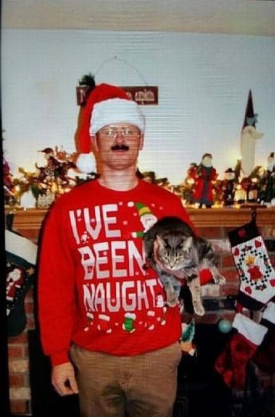 Cats,christmas sweaters,christmas,naughty,poorly dressed,g rated