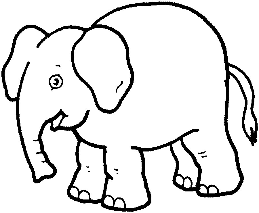Print out and color pictures of a variety of animals
