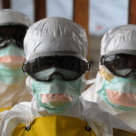 Ebola: the race to find a cure