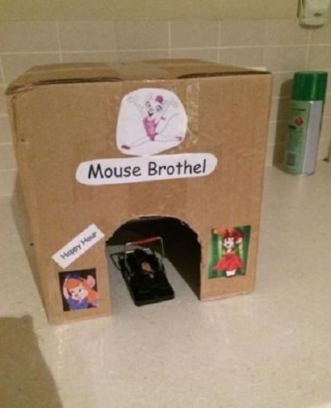 epic win-pic-mouse-trap