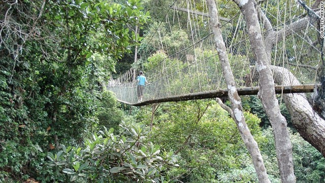 Malaysia's longest suspension bridge, the Taman Negara National Park Bridge stretches 530 meters across the tops of the trees. 