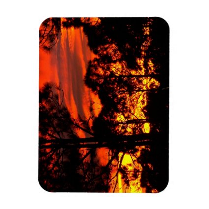 Sunset through pines red yellow rectangle magnet