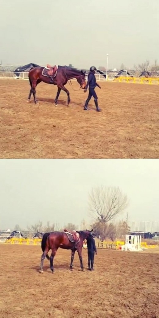 KARA ハラ「私に付きまとうルーシー」…乗馬を楽しむ動画を公開