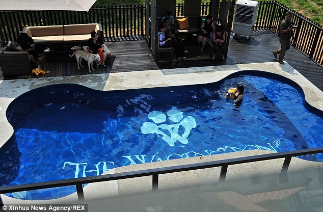 Paddle time: The canines enjoy leisure time in the bone-shaped pool