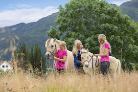 Visit Iconic Fjord Horses in Olden with Disney Cruise Line