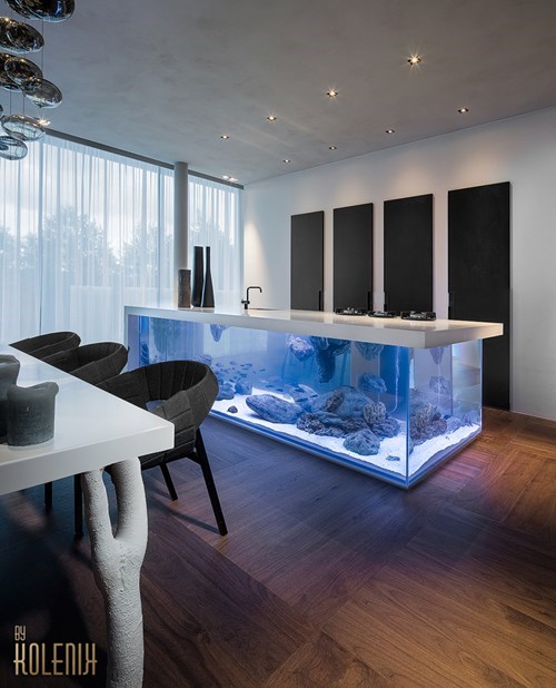 epic-win-pic-aquarium-kitchen-design