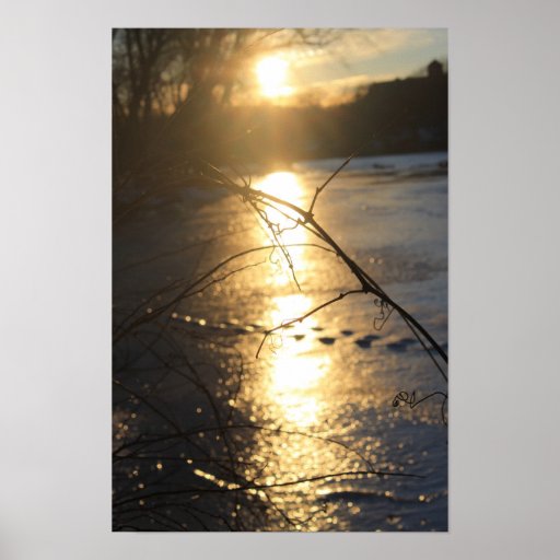 A vine on the banks of the frozen Fox River Poster