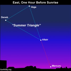 At northerly latitudes in the Northern Hemisphere, the Summer Triangle may be your ticket to locating Mercury by the horizon.