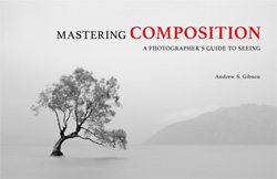 Mastering Composition ebook by Andrew S. Gibson