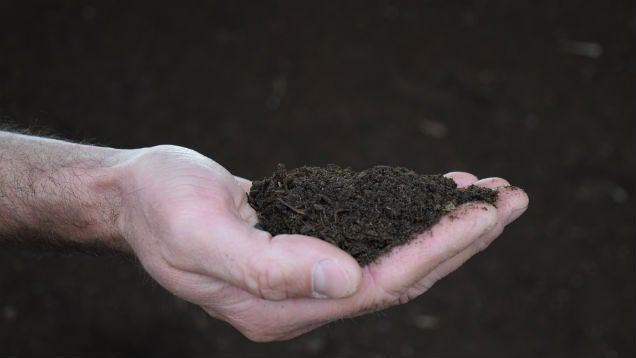 How to Get Cheap (or Free) Mulch and Compost