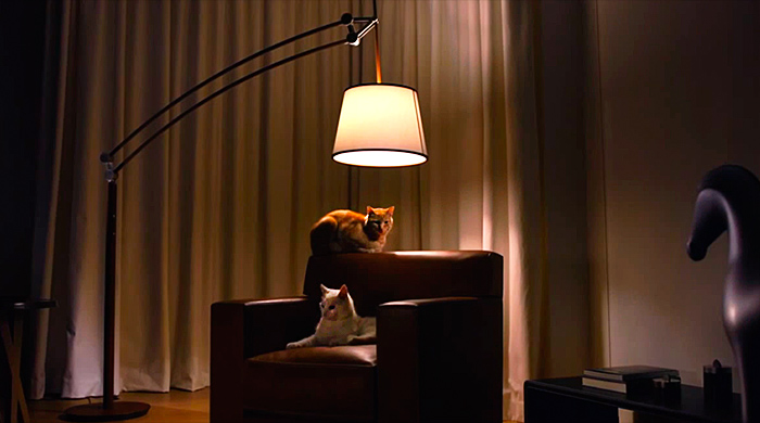 В рекламе светильников Hermès снялись кошки