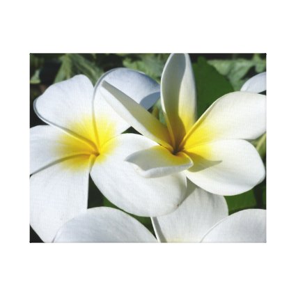 ti plant flowers yellow white gallery wrapped canvas