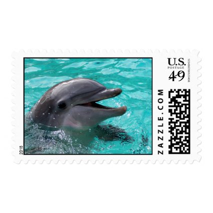 Dolphin head in aquamarine water postage stamps