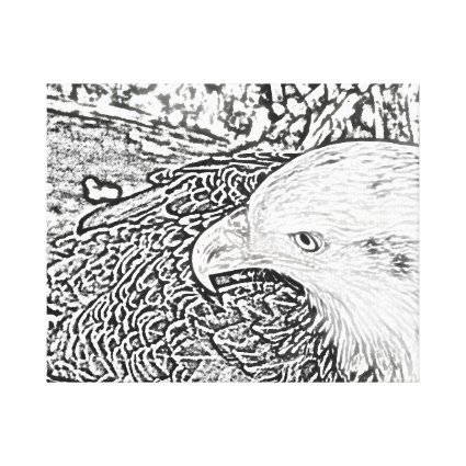bald eagle sketch bw sideways bird animal feather canvas prints