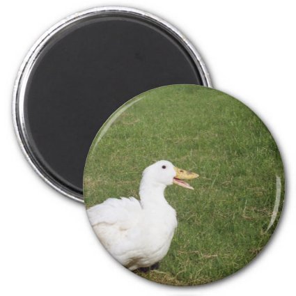 Pekin duck with open bill on green grass refrigerator magnet