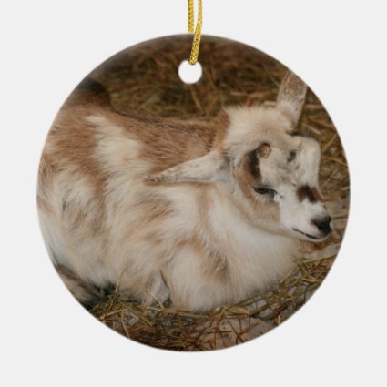 Furry small goat doeling baby right Double-Sided ceramic round christmas ornament