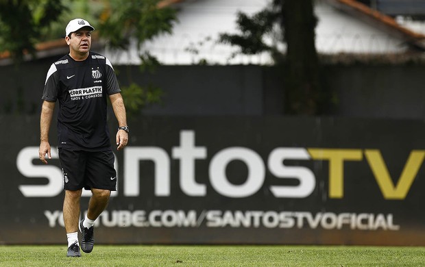 Enderson Moreira Santos (Foto: Ricardo Saibun / Divulgação Santos FC)