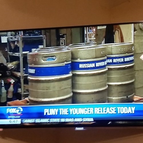 pliny the younger is totally news worthy