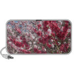 Miscellaneous - Peach Trees Blossom Pattern