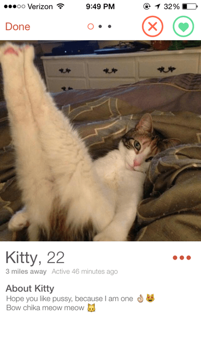 one super sexy kitty.