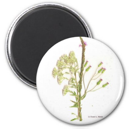 Weeds , a scan of Florida wildflowers Fridge Magnets
