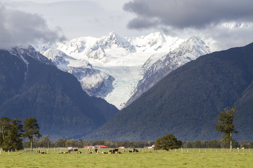 Farms, Mountains and a Glacier - Fox Glacier, New Zealand