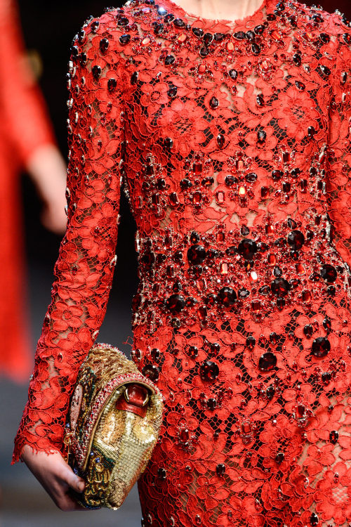 vogue-is-viral: Dolce & Gabbana Fall 2013 ~ details