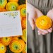 Lemon Citrus Bridal Shower Invitation