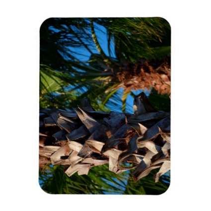 palm trees in florida vinyl magnets