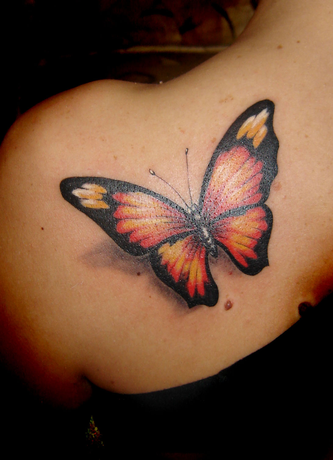 itself is another meaning of butterfly tattoo design. Butterflies ...