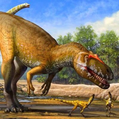 Dinosaurs Were Warm-Blooded, Scientist Suggests