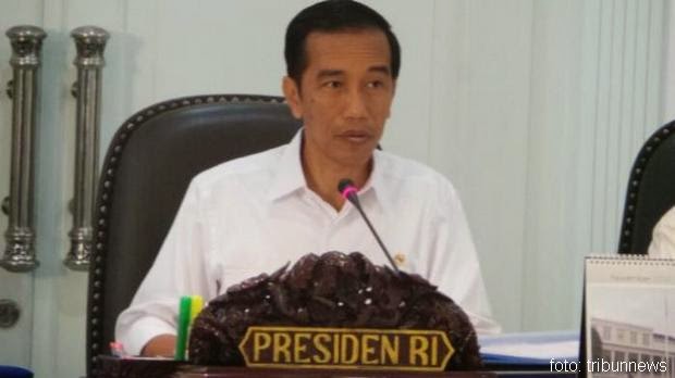 Timses: Jadi Ketum PDIP, Jokowi Selamat Sampai Akhir Periode