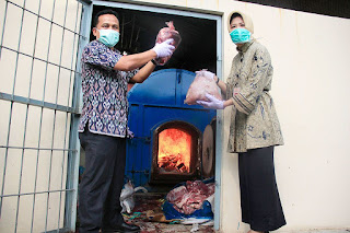 Daging babi hutan diprediksi banyak beredar jelang Ramadhan, waspadalah
