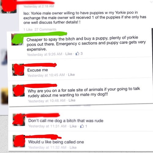 dogs,puppy,for sale,failbook