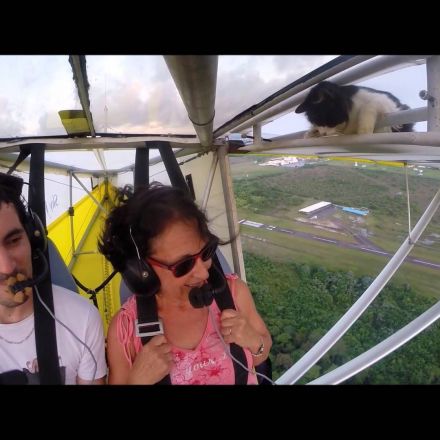 Cat unexpectedly hitches a ride... 5,000 feet up in the air.
