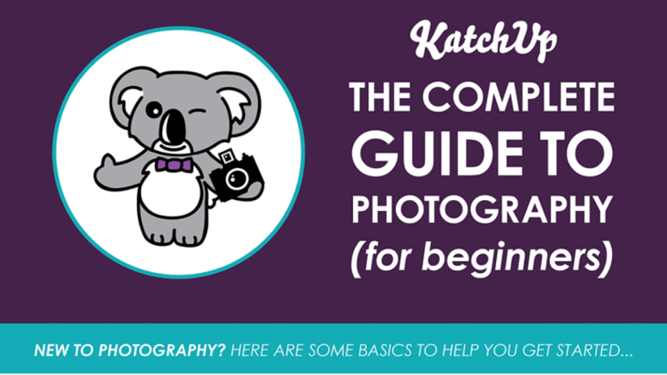 Beginner to photography