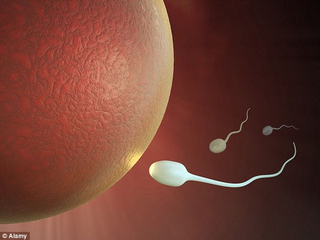 Germ line genetic editing alters the DNA in sperm and egg cells - meaning the changes can be passed on