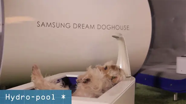 Future Samsung Dream Doghouse