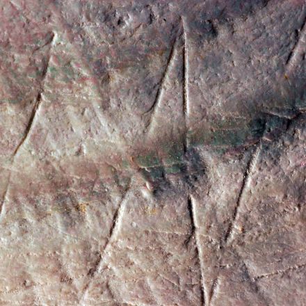 500,000-Year-Old Homo erectus Engraving Discovered