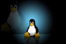 Linux : La société éditrice Mandriva en liquidation judiciaire