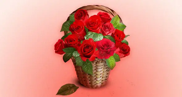 Vector-Roses-Basket