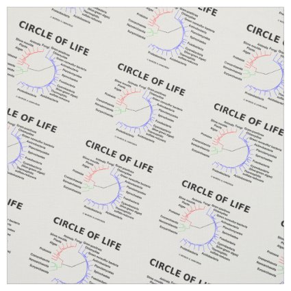 Circle Of Life Three Domain System Fabric