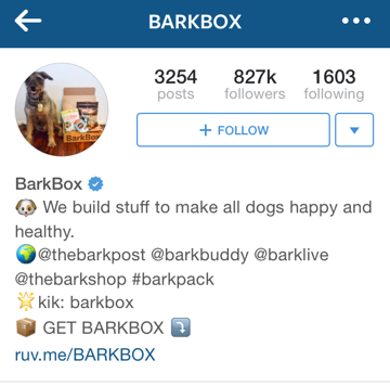 bark box instagram