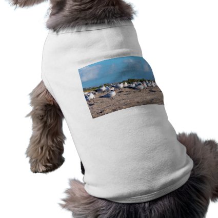 Seagulls standing on beach eye level doggie tee shirt