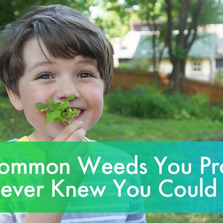 7 delicious common weeds you probably never knew you could eat!