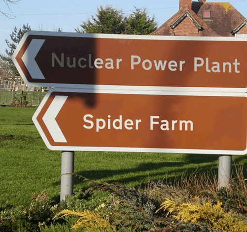 funny-win-pic-sign-spider