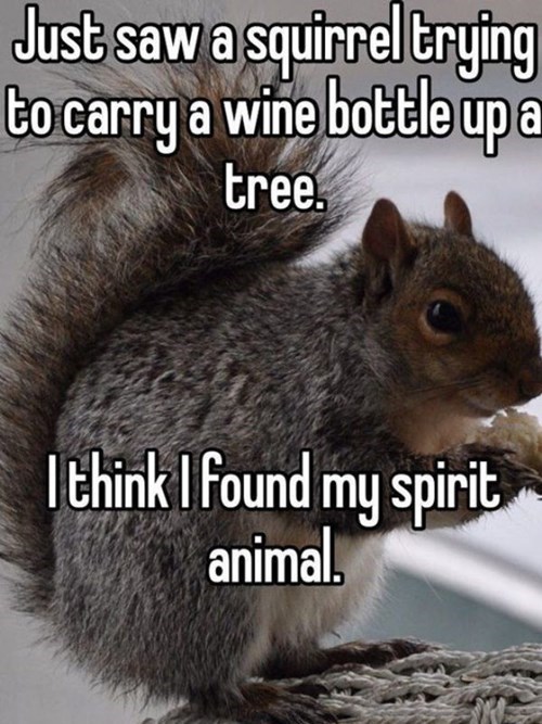 wtf,squirrel,wine,funny,after 12,g rated