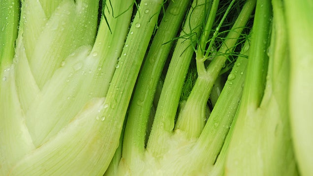 Save Fennel Stalks from the Garbage and Use Them Instead of Celery