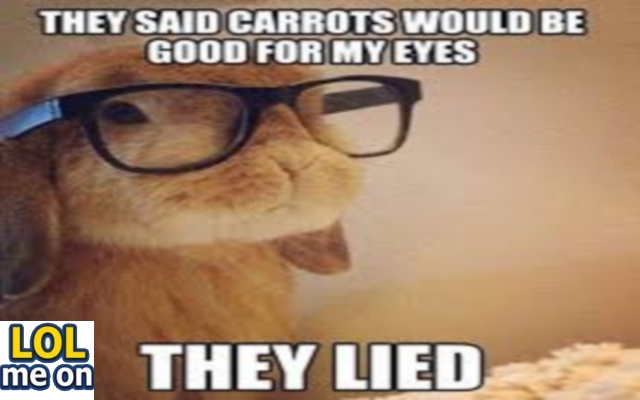 They San Carrots Would Be Good For My Eyes - Funny Picture With Caption Funny pictures